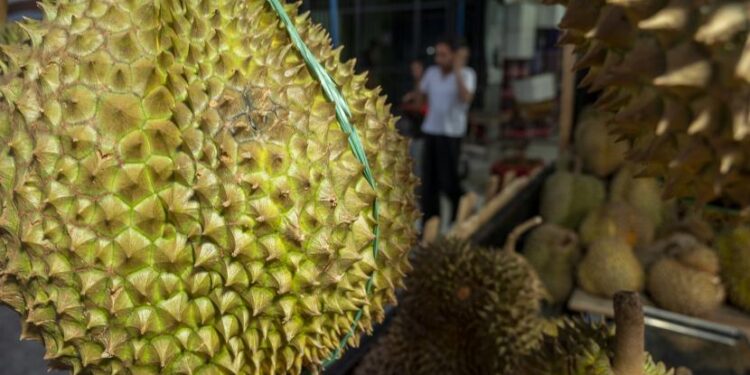 pedagang-durian-montong-menunggu-pembeli-di-salah-satu-ruas_220606192942-673-750x375